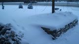 snowDec6020.jpg