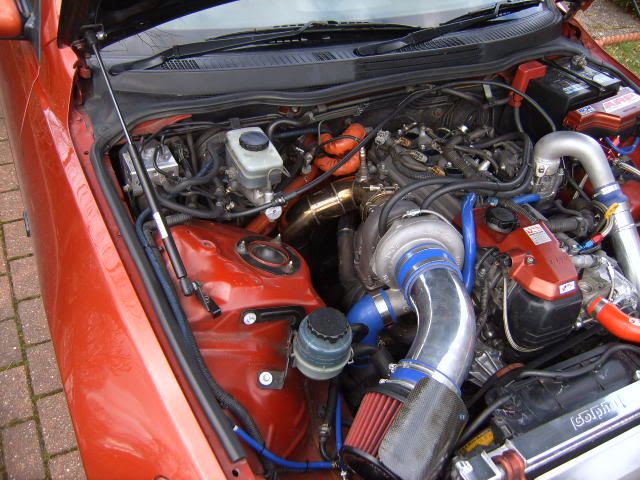 [Image: SUC50216.jpg]