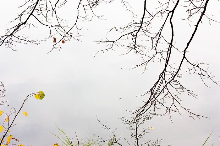 Остафьево Photobucket