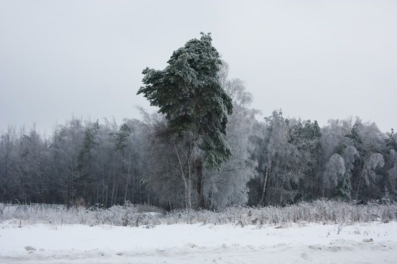 опять про зиму Photobucket