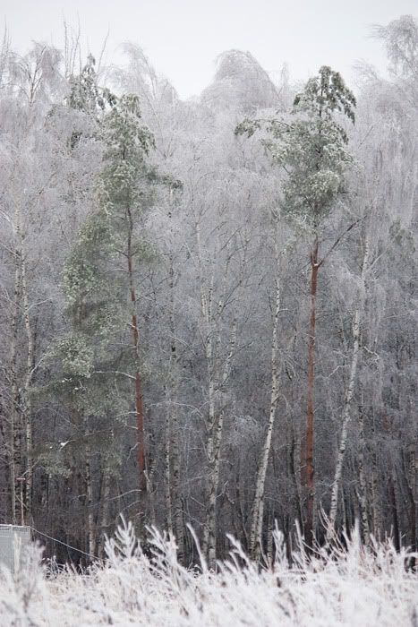 опять про зиму Photobucket