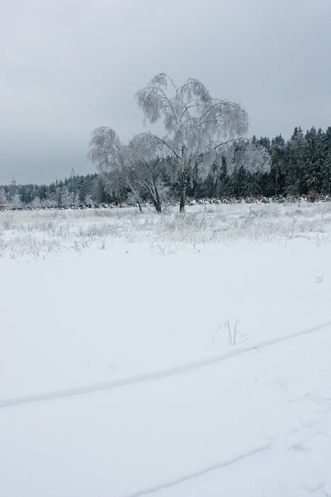 опять про зиму Photobucket