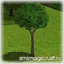 http://i1036.photobucket.com/albums/a442/sims_magic/2-4.jpg