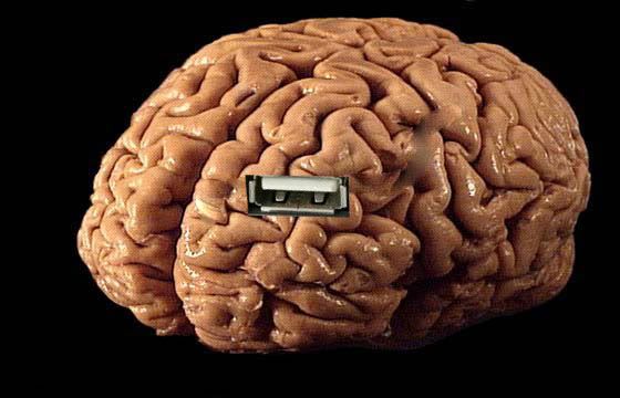 Usb Brain