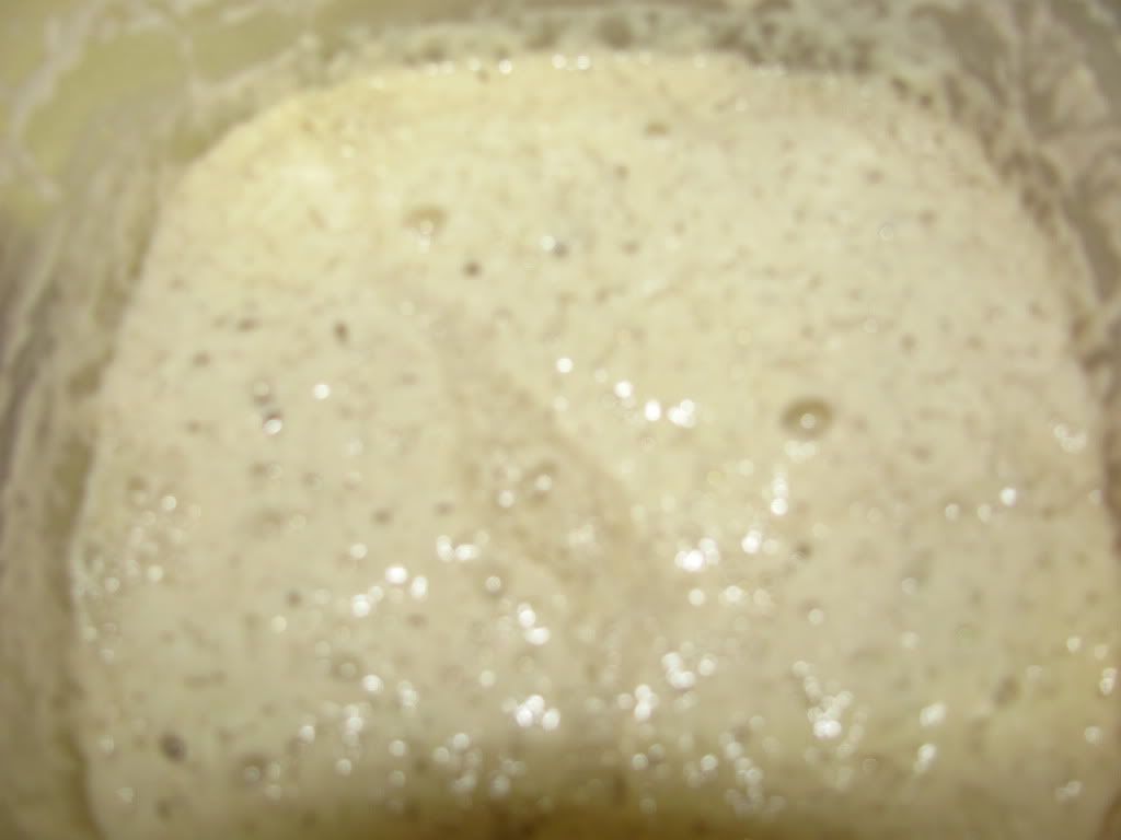 yeast