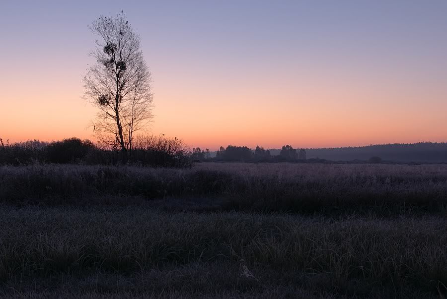 Dołączona grafika