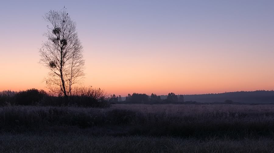 Dołączona grafika