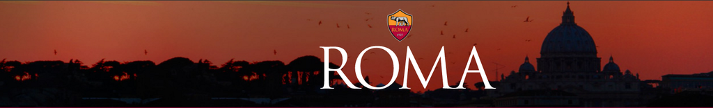 Roma%20Banner_zps0udcqin8.png