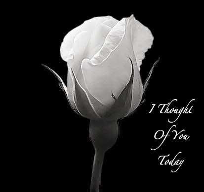 ThoughtOfYou2day Pictures, Images and Photos
