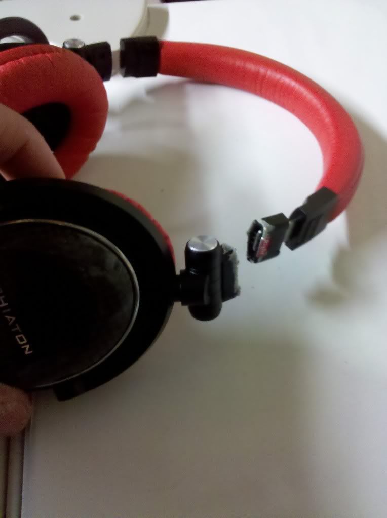 IMG_20101210_165647.jpg