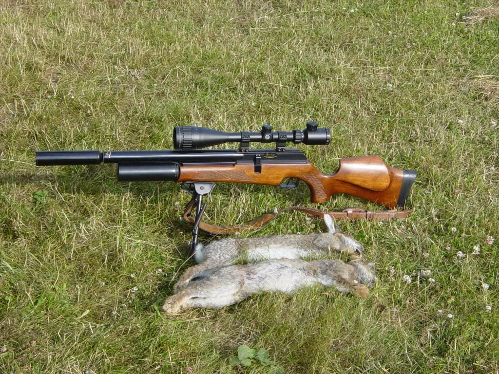 V_zpscfb7af48.jpg