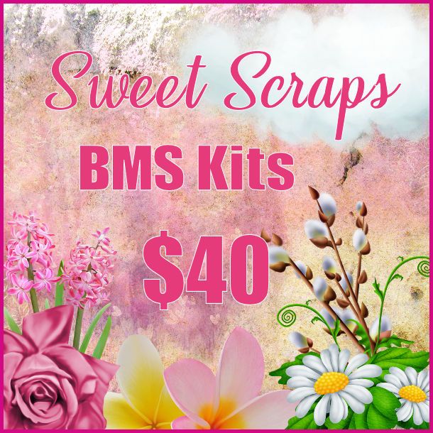 BMS Kits/
