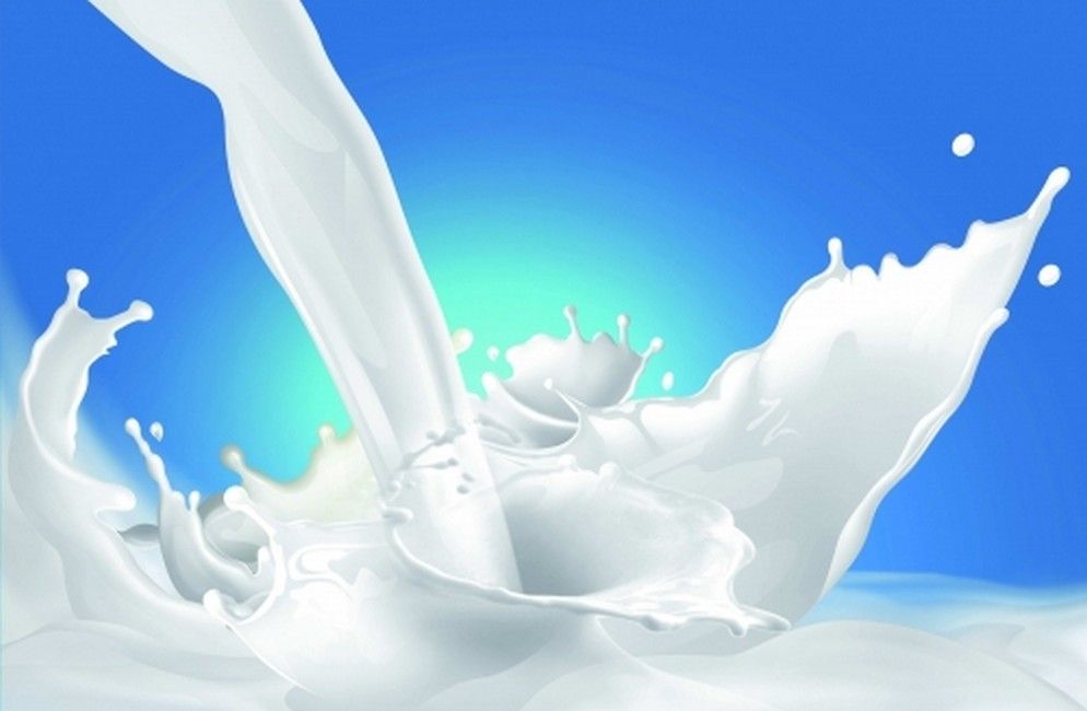 Cùng tìm hiểu 4 câu hỏi về cách uống sữa tươi giúp trẻ tăng chiều cao