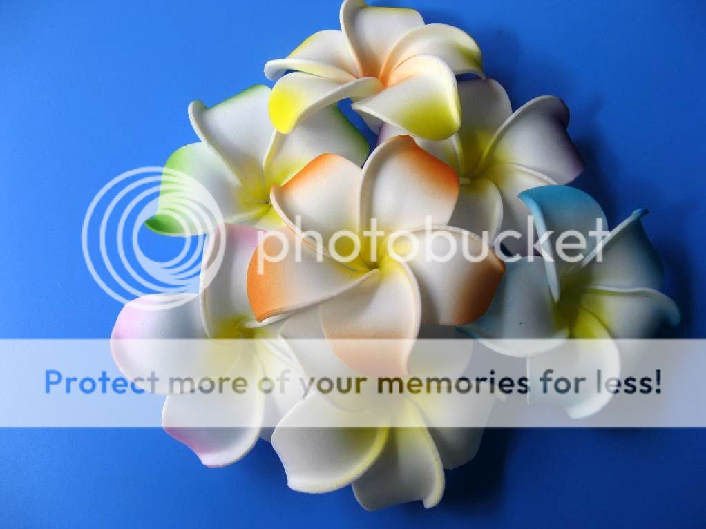   color Fabulous Hawaiian foam frangipani flowers Bridal hair clip 8cm